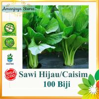 Gambar benih biji SAWI HIJAU CAISIM/ bibit sayuran/ hidroponik dari Sri wahyuni ss undefined 1 Tokopedia
