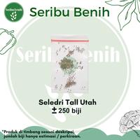 Gambar 250 Benih Seledri Batang Besar Tall Utah - Bibit Tanaman Sayuran Daun Sop Celery Stick Premium Super Unggul dari Sri wahyuni ss undefined 2 Tokopedia