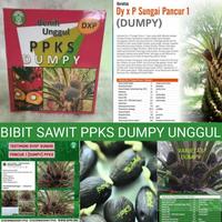 Gambar Benih BIBIT SAWIT DXP PPKS DUMPY ASLI BERSERTIFIKAT UNGGUL TERLARIS NO1 - PELEPAH PENDEK dari BENIH DJAYA undefined 1 Tokopedia