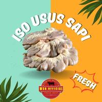Gambar Iso Babat Sapi Jeroan Sapi Lokal Segar Usus Sapi Fresh dari pukimacc undefined 2 Tokopedia