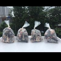 Gambar Ceker / Kaki Ayam Kampung dari pukimacc undefined 2 Tokopedia