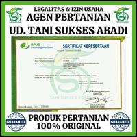 Gambar Terbaru Benih Cabai Rawit Dewata 76 F1 2250 Butir - Bibit Cabe Cap Panah Merah dari Milk Up Store undefined 2 Tokopedia