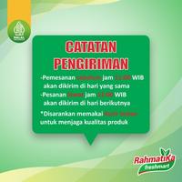 Gambar Fillet Paha Ayam Giling / Boneless Paha Giling Fresh 1 kg (Ayam Segar) dari Rahmatika Freshmart Tangkot undefined 2 Tokopedia