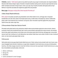 Gambar IPAKITINE OBAT GAGAL GINJAL KUCING ANJING CAT URINARY SAKIT SUSAH GANGGUAN KENCING BATU MUNTAH DIARE MENCRET LEMAS KERACUNAN AMPUH IPAKITIN dari HOKI PETSHOP 03 undefined 1 Tokopedia