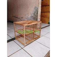Gambar SANGKAR KANDANG DONDANG BURUNG DARA MERPATI KAYU JATI PINTU 4 MURAH dari Hobili Store undefined 4 Tokopedia