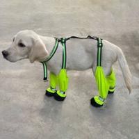 Gambar Reflective Waterproof Dog Boots Breathable Nightsafe Full Coverage Dog Boots Easy To Clean Anti-Slip Dog Trousers Foot Cover dari MUSA NEWBORN DRAGONET undefined 4 Tokopedia