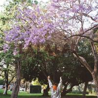 Gambar Develop + Scan [Cuci Scan Roll Film] dari slametshopyoo undefined 2 Tokopedia