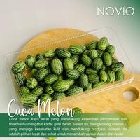 Gambar Ready Gan Specialty Vegetable - Cuca Melon Fresh Ready Gan dari Microgreen Eats undefined 3 Tokopedia