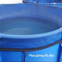 Gambar kolam VAT karantina ikan S D100 T50 Small Pulau Ratu Koi full set terpal rucika orchid dari len-1 undefined 3 Tokopedia