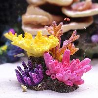 Gambar Artificial Coral Reef Tank, Hiasan Aquarium Terumbu Karang Laut dari Kalista Mart67 undefined 2 Tokopedia