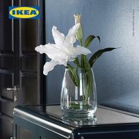 Gambar IKEA BERÄKNA VAS BUNGA / TANAMAN KACA BENING 18CM dari Kanvas Kreatif- undefined 2 Tokopedia