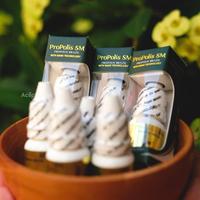 Gambar Ampuh - Obat Polip Hidung, Obat Polip Hidung Semprot, Obat Sinusitis Hidung, Sinusitis Hidung Akut Parah, Polip Hidung Tersumbat, Polip Hidung Bengkak, Pilek Menahun Radang Sinus Polip Hidung Untuk Dewasa & Anak Anak Obat Polip Hidung Di Apotik dari Elara Envy Velora undefined 4 Tokopedia