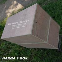 Gambar Box Speaker CLA 8 inch DOBEL dari Mega Electronica undefined 5 Tokopedia