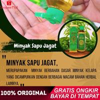 Gambar Minyak Sapu Jagat Asli - 110ml - Minyak Herbal Terapi Esensial Oil Minyak Sapu Jagad Jaggat Kustus dari Sitipet undefined 2 Tokopedia