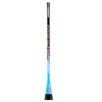 Gambar PROKENNEX RAKET BADMINTON POWER PRO 704 709 dari Dewiruci undefined 2 Tokopedia