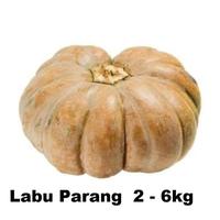Gambar [Terbaru] dandira-store 500gr Labu Parang Waluh Kuning Kolak Makanan Kura Darat Aldabra Iguana Bergaransi dari dandira-store undefined 2 Tokopedia
