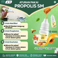 Gambar Obat Bisul Di Pantat Tangan Kaki Leher Ketiak Dan Di Area Kemaluan Pria Dan Wanita Bisul Pada Bayi Anak Herbal Propolis SM dari elistia shop undefined 4 Tokopedia