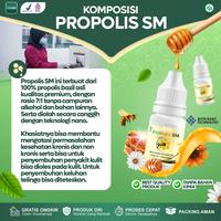 Gambar Obat Bisul Di Pantat Tangan Kaki Leher Ketiak Dan Di Area Kemaluan Pria Dan Wanita Bisul Pada Bayi Anak Herbal Propolis SM dari elistia shop undefined 2 Tokopedia