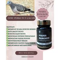 Gambar Best Seller MAHIA BANGKOK Jamu Perkutut Burung Perkutut Gacor Anti Macet Bunyi Bangkok - Katuranggan - Jogo boyo - Irama 50butir dari kikysafitri shop undefined 4 Tokopedia