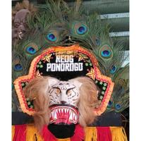Gambar REOG MINI REOG MURAH  BAHAN BULU MERAK ASLI UK 40CM dari ovino.id undefined 1 Tokopedia