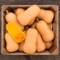 Gambar 2 BIJI - BENIH LABU MADU F1 BUTTERNUT - CAP PANAH MERAH Benih Sayuran Benih Buah Bibit Sayuran - Not Specified dari Sri tani Mulyo Benih seribuan undefined 2 Tokopedia