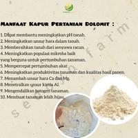 Gambar Kapur Pertanian KEBOMAS Kemasan Repack 1Kg Tanaman Tanah dari Sedoyo Farm undefined 2 Tokopedia
