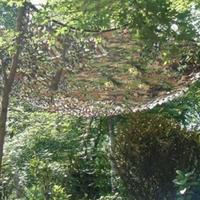 Gambar Tenda Camping Jaring Kamuflase Camping Militer Camouflage Net 2x3 m - Camouflage, 300 x 500 cm dari Autonet undefined 4 Tokopedia