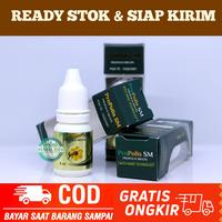 Gambar ProPolis SM, Perawatan Rambut Rontok Rusak & Rontok Parah, Penumbuh Penyubur Rambut, Penumbuh Rambut Anti Rontok, Vitamin Rambut Rontok - Propolis SM dari Herbalthy Store undefined 4 Tokopedia