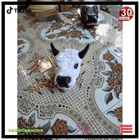 Gambar [8.8] READY bantengan mberot full bulu murah jaranan/barongan/bantengan/celeng/pecot/pecut budaya jawa RBS - Mata merah dari rebecashops undefined 4 Tokopedia