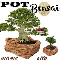Gambar PT001 POT BONSAI MAME SITO POT RELIEF TANAMAN SANCANG KIMENG BERINGIN KELAPA POHON HIAS BONSAI KEMUNING  POT TEMPAT WADAH TANAMAN BONSAI PINUS ASEM MAPLE BOUGENVILLE DELIMA MINI  CHERRY BLOSSOM POT DEKORASI AESTHETIC TAMAN - MAME PT001 M, COKELAT dari reptile store id undefined 1 Tokopedia