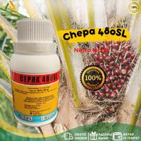 Gambar ZPT Pematang Buah CEPHA 480 SL 100 Ml Etefon 480 Gl dari PUROTANI.ID undefined 2 Tokopedia