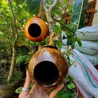 Gambar Glodok Batok Kelapa Rumah Tempat Tidur Burung Gantung dari SORVERNIRSHOP_NEW undefined 1 Tokopedia