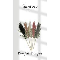 Gambar Bunga Bulu Ilalang + Daun Bunga Alang-Alang + Daun Ekaliptus Estetik 1 Cabang 10 Kuntum Bulu/ CZ-66 - Hitam dari Santoso Florist undefined 1 Tokopedia