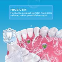 Gambar 【Live Exclusive】MeToo TOP SELLING Kit /  Teeth Whitening Powder / Whitening Tooth Powder / Probiotik / nafas segar / menghilangkan bau mulut / kumur karang gigi / mengurangi noda pada gigi dari Metoo Beauty undefined 3 Tokopedia