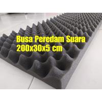 Gambar Busa Peredam Suara Telur Ruangan 200 x 30 cm - Peredam Suara Musik Studio dari Pratama Foam ID undefined 2 Tokopedia