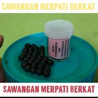 Gambar pil keket jamu giring vitamin stamina isi 60 butir burung merpati dara dari sawanganmerpatiglory undefined 2 Tokopedia