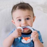 Gambar Itzy Ritzy Teether Rattle / gigitan bayi - dino dari Milk Monster Baby Shop undefined 4 Tokopedia