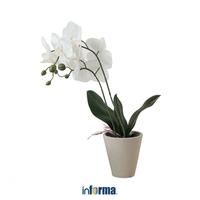 Gambar Informa Bunga Artifisial Anggrek 56 cm - Putih dari Informa Indonesia undefined 1 Tokopedia