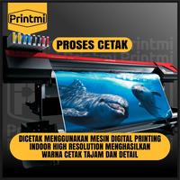 Gambar Printmi Sticker Decal Motor Beat Street Old Full Body 2016 2017 2018 2019 Stiker Doraemon Honda Variasi Modifikasi Racing KP174 - 174 Abu Abu Muda dari PRINTMI undefined 3 Tokopedia