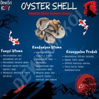 Gambar Media Filter Kolam Ikan Oyster Shell / Cangkang Kerang Tiram 3Kg – Penstabil pH Air & Jernihkan Kolam dari DEWISRIKOI undefined 4 Tokopedia