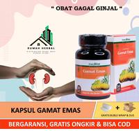 Gambar Kapsul Gamat Emas Obat Herbal Peluruh Batu Ginjal Dewasa Anak Alami - 50 kapsul dari Risman Herbal Official undefined 1 Tokopedia