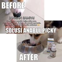 Gambar MBJ Max Paw Super Serum Vitamin Kucing Dan Anjing Dewasa Solusi All In One Untuk Kesehatan Optimal Larismanis - 50ml dari muhiabsbj undefined 3 Tokopedia