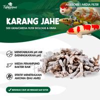 Gambar BATU KARANG JAHE MEDIA FILTER AIR AQUARIUM KOLAM PENSTABIL pH 500GR dari FISHKINIANSTORE undefined 1 Tokopedia