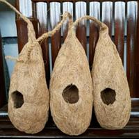 Gambar sarang burung lovebird parkit pleci serabut kelapa gantung dari GRIYA POT STORE undefined 1 Tokopedia