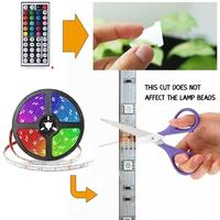 Gambar paket lampu led strip RGB hias dekor 10M remote kontrol led selang dari Toserba Bandung Onlineshop undefined 4 Tokopedia