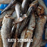 Gambar 1 kg ikan asin japuh cue enak - 1kg dari Safa'shop undefined 3 Tokopedia