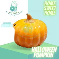Gambar Rumah / Hideout Keramik / Tempat Tidur - Hamster, Motif : Haloween Pumpkin / Labu, Warna : Orange dari Bodeboo Shop undefined 2 Tokopedia