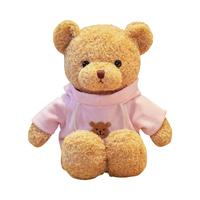Gambar PRETTY MISSY BONEKA CLASSIC TEDDY DENGAN HOODIE 30 CM RANDOM dari Toys Kingdom ID undefined 2 Tokopedia