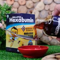 Gambar Hexabumin Madu Anak - Obat Radang Tenggorokan Anak, Infeksi Tenggorokan, Panas Dalam Pada Anak, Faringitis, Suara Anak Serak dari AlHikmah Herbal_NEW undefined 4 Tokopedia