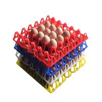 Gambar TATAKAN TELOR - Tray Telor Plastik / Egg Tray / Tempat Telor Ayam / Tempat Telor Bebek / Tatakan Telur Murah - RDP dari Raja Dapur Plastik undefined 3 Tokopedia